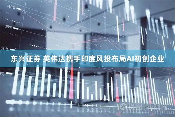 东兴证券 英伟达携手印度风投布局AI初创企业